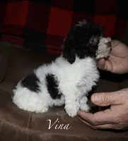 processed/c38f35be-48e7-43ce-a9ba-eb664d4b4a0a/listing/d699d8ba-9491-4e1f-829a-f16571bd6436/ddfa39ff-ad99-42f1-80cf-77cb8d4c26c6