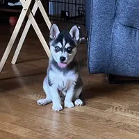 processed/c396a2ee-f6cd-4781-b70c-0239c4d7fe3f/facility/2d057615-6268-4586-8893-958515bf23d8