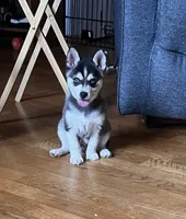 processed/c396a2ee-f6cd-4781-b70c-0239c4d7fe3f/facility/2d057615-6268-4586-8893-958515bf23d8