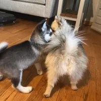 processed/c396a2ee-f6cd-4781-b70c-0239c4d7fe3f/facility/65358fac-a9a2-4d64-9485-ecb3f685ddfc