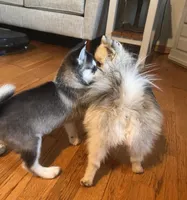 processed/c396a2ee-f6cd-4781-b70c-0239c4d7fe3f/facility/65358fac-a9a2-4d64-9485-ecb3f685ddfc