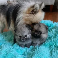 processed/c396a2ee-f6cd-4781-b70c-0239c4d7fe3f/facility/bb3ade3d-ee2f-42b2-a301-acb42786c4f9