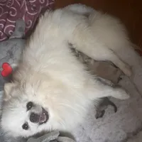 processed/c396a2ee-f6cd-4781-b70c-0239c4d7fe3f/facility/e850d1c5-e27b-4db5-af03-3262cad88144