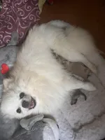 processed/c396a2ee-f6cd-4781-b70c-0239c4d7fe3f/facility/e850d1c5-e27b-4db5-af03-3262cad88144