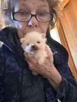 processed/c396a2ee-f6cd-4781-b70c-0239c4d7fe3f/listing/356dca3c-f2a7-4b01-9718-bbb2d4bfc8d5/14abe391-c130-4d76-8a23-62c9a9dc7853