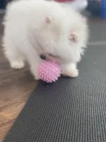 processed/c396a2ee-f6cd-4781-b70c-0239c4d7fe3f/listing/356dca3c-f2a7-4b01-9718-bbb2d4bfc8d5/a7c424e9-9179-4643-bcfb-456f11d602f4