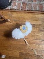 Frosty/will transport to Raleigh, a male Pomeranian for sale in Oakland, NE – Photo 6 of 7