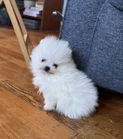 processed/c396a2ee-f6cd-4781-b70c-0239c4d7fe3f/listing/356dca3c-f2a7-4b01-9718-bbb2d4bfc8d5/ddb6fbe3-9b70-4855-b4ce-52058cd913ef