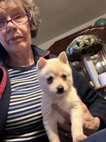 processed/c396a2ee-f6cd-4781-b70c-0239c4d7fe3f/listing/69c1695d-a967-4ad1-bc8f-f8f8794fedb8/1f1fae8e-90d7-46ce-82d3-4630af797105