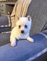 processed/c396a2ee-f6cd-4781-b70c-0239c4d7fe3f/listing/69c1695d-a967-4ad1-bc8f-f8f8794fedb8/328f357f-e7a1-49f1-ae4a-9d147db89c46