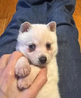 processed/c396a2ee-f6cd-4781-b70c-0239c4d7fe3f/listing/69c1695d-a967-4ad1-bc8f-f8f8794fedb8/524a4d11-a87d-4d5f-9f9d-c42135aaae9e