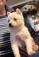 processed/c396a2ee-f6cd-4781-b70c-0239c4d7fe3f/listing/69c1695d-a967-4ad1-bc8f-f8f8794fedb8/610a6651-3a70-4e80-809d-af07174f7f4a