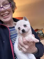 processed/c396a2ee-f6cd-4781-b70c-0239c4d7fe3f/listing/69c1695d-a967-4ad1-bc8f-f8f8794fedb8/838f710d-42ec-43d6-bde3-513fbc96a56b