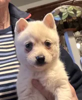 processed/c396a2ee-f6cd-4781-b70c-0239c4d7fe3f/listing/69c1695d-a967-4ad1-bc8f-f8f8794fedb8/b4128223-9a20-43e5-840c-6b600691ef18