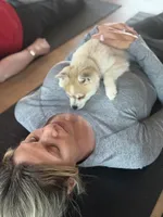 Rita, a female Alaskan Klee Kai for sale in Oakland, NE – 6 of 7