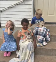 Nebula (Nebbie) , a female Alaskan Klee Kai for sale in Oakland, NE – 9 of 10
