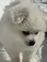 processed/c3987780-478e-4e76-9444-121b955bdaf6/listing/6ed1ce3f-0c92-41fa-abd2-24a954b2ae0c/98966746-c084-445c-9b63-2411c7f5ab3c