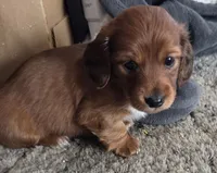 processed/c3987d85-eb17-4b68-9b9c-fb9844dd03a1/listing/9e7b7d46-5627-472b-8c86-fb4422ef4f5f/16938d26-79d1-4dc1-8620-263398ad5588