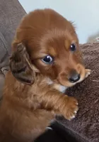 processed/c3987d85-eb17-4b68-9b9c-fb9844dd03a1/listing/9e7b7d46-5627-472b-8c86-fb4422ef4f5f/248962a0-9562-4385-abab-bf1fc5cbfa58