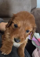 processed/c3987d85-eb17-4b68-9b9c-fb9844dd03a1/listing/9e7b7d46-5627-472b-8c86-fb4422ef4f5f/395cfa65-dcef-4b0f-bf6e-2c78717070b8