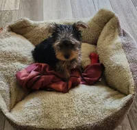 processed/c39c27d5-df90-4e2d-b1df-073b069981a3/listing/1d4e0c1f-8542-4dd1-81a7-174e015791a9/afda0a29-029f-487a-9bff-e57580bfd22a