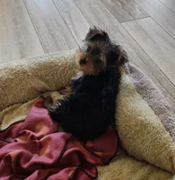 processed/c39c27d5-df90-4e2d-b1df-073b069981a3/listing/1d4e0c1f-8542-4dd1-81a7-174e015791a9/c0b54a21-04e9-4729-bac2-9adf96047b05