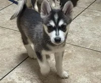 processed/c3a18846-80f1-4cd0-98f6-92c9cf424380/listing/352ea7d5-c982-4dd6-b862-20917568de03/30e94185-4042-45a7-93a0-409d006d1a1e