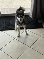 processed/c3a18846-80f1-4cd0-98f6-92c9cf424380/listing/352ea7d5-c982-4dd6-b862-20917568de03/7d9382ad-ff30-4fc2-8468-d5e73cb6ec3f