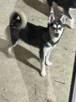 processed/c3a18846-80f1-4cd0-98f6-92c9cf424380/listing/352ea7d5-c982-4dd6-b862-20917568de03/9cb68b29-fa9b-4d34-a632-9667a3394114