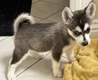 processed/c3a18846-80f1-4cd0-98f6-92c9cf424380/listing/6d1c9ac7-ed7d-44af-a1df-303aff860f1d/55d17ca7-a2b0-4376-ae81-e8f49dc068cf