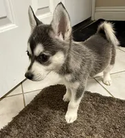 processed/c3a18846-80f1-4cd0-98f6-92c9cf424380/listing/6d1c9ac7-ed7d-44af-a1df-303aff860f1d/d219a6a0-5a56-4610-a65d-6dd47173a51b