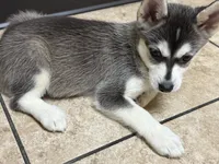 processed/c3a18846-80f1-4cd0-98f6-92c9cf424380/listing/6d1c9ac7-ed7d-44af-a1df-303aff860f1d/ea08f4ea-42f1-46b2-a24c-5fd92de24482