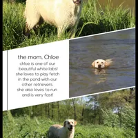 processed/c3a3d96e-87c5-4112-8e3f-f967547593b1/facility/444c23eb-ead2-4580-8460-8a514a889298