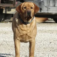 processed/c3a3d96e-87c5-4112-8e3f-f967547593b1/facility/45e9b6a6-5dcd-499b-8f19-ae9c86bf4242