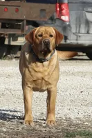 processed/c3a3d96e-87c5-4112-8e3f-f967547593b1/facility/45e9b6a6-5dcd-499b-8f19-ae9c86bf4242