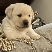 processed/c3a3d96e-87c5-4112-8e3f-f967547593b1/facility/47ea9e20-eb68-4bbc-929a-a5bc6569cea8