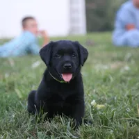 processed/c3a3d96e-87c5-4112-8e3f-f967547593b1/facility/522e8d42-0a88-4345-9132-a9d2d21afc90