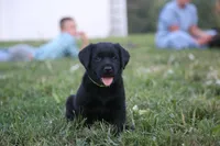 processed/c3a3d96e-87c5-4112-8e3f-f967547593b1/facility/522e8d42-0a88-4345-9132-a9d2d21afc90