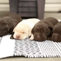 processed/c3a3d96e-87c5-4112-8e3f-f967547593b1/facility/5942bbff-4232-4c91-a63e-ec5b69e7ba92