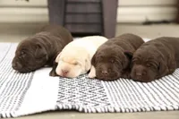 processed/c3a3d96e-87c5-4112-8e3f-f967547593b1/facility/5942bbff-4232-4c91-a63e-ec5b69e7ba92