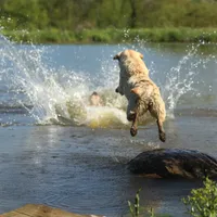 processed/c3a3d96e-87c5-4112-8e3f-f967547593b1/facility/90606fdc-3875-4d37-a00a-4b9f4fc152dd