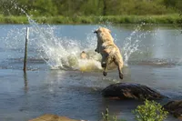 processed/c3a3d96e-87c5-4112-8e3f-f967547593b1/facility/90606fdc-3875-4d37-a00a-4b9f4fc152dd