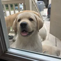 processed/c3a3d96e-87c5-4112-8e3f-f967547593b1/facility/98858791-be58-4238-847e-53a6209b0e98