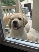 processed/c3a3d96e-87c5-4112-8e3f-f967547593b1/facility/98858791-be58-4238-847e-53a6209b0e98