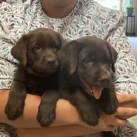 processed/c3a3d96e-87c5-4112-8e3f-f967547593b1/facility/aec4fc08-22f3-4ce7-aef5-0608a6c009b8