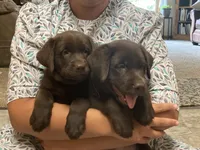 processed/c3a3d96e-87c5-4112-8e3f-f967547593b1/facility/aec4fc08-22f3-4ce7-aef5-0608a6c009b8