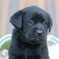 processed/c3a3d96e-87c5-4112-8e3f-f967547593b1/facility/db322ce9-5a7c-474d-b398-5b6a95a99366