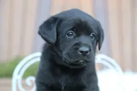 processed/c3a3d96e-87c5-4112-8e3f-f967547593b1/facility/db322ce9-5a7c-474d-b398-5b6a95a99366