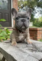 processed/c3a4cbc6-15f5-4bae-804d-463af1af2973/facility/07c4e132-5751-4160-9a9c-6d7b50577276