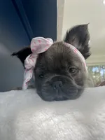 processed/c3a4cbc6-15f5-4bae-804d-463af1af2973/facility/662a80fc-a25e-4ca9-bdb5-5dcc0c81b338